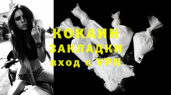 шишки Михайлов