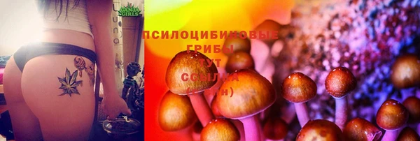 винт Михайловск