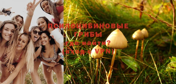 шишки Михайлов