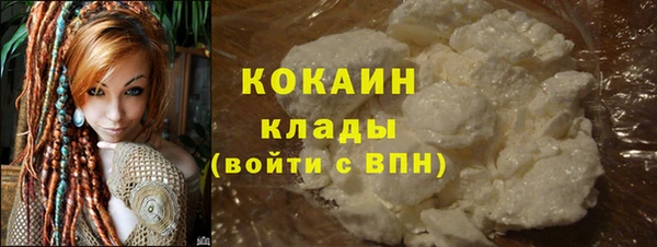 шишки Михайлов