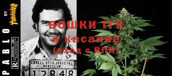 шишки Михайлов