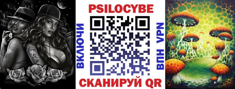 сколько стоит  Нея  Псилоцибиновые грибы Psilocybine cubensis 